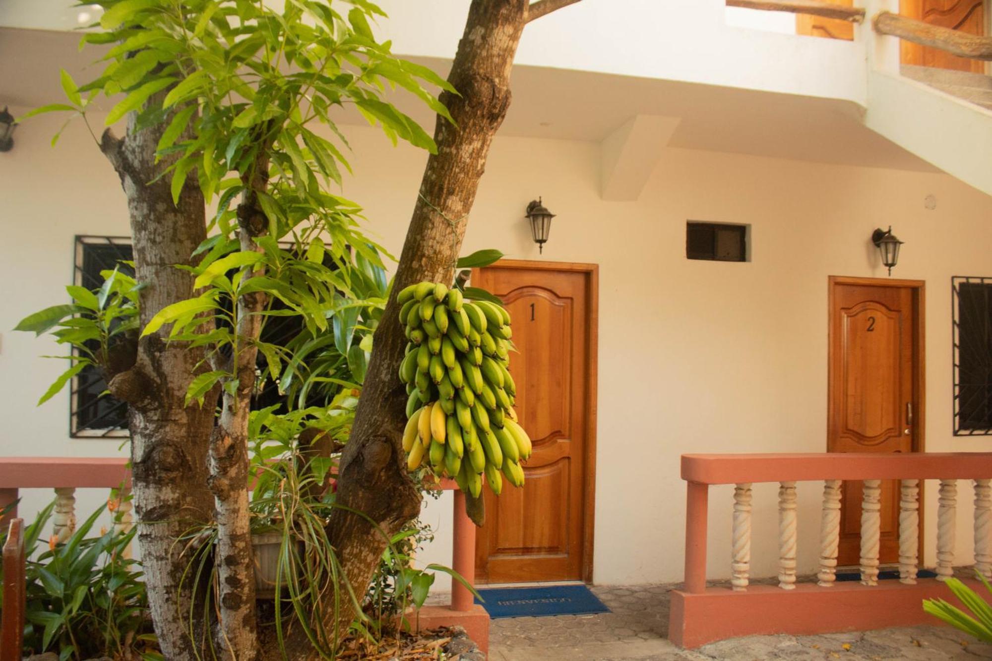 Casa De Nelly Hotel Puerto Baquerizo Moreno Exterior foto